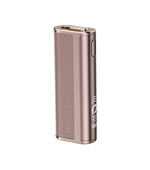 Fasoul C2二回機  【棕色】IQ